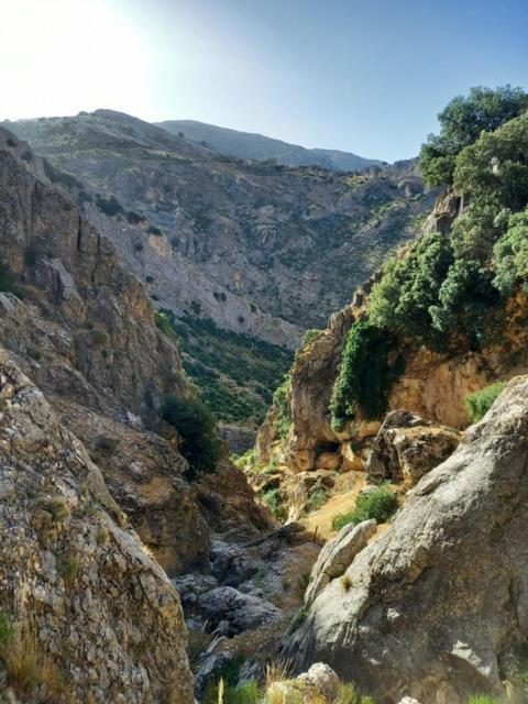 Cave Holidays Andalucia Los Carriones Bagian luar foto